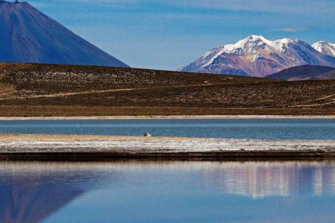 Tour to the Salinas de Arequipa lagoon