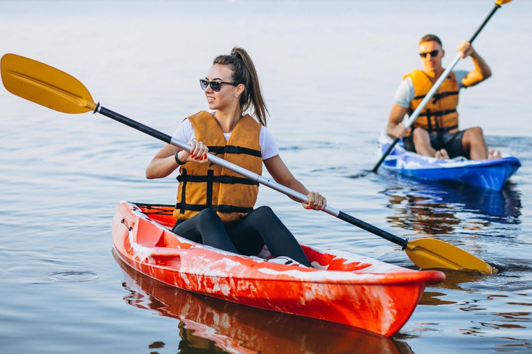 Al Khor: Kajakpaddling i mangroveskogen