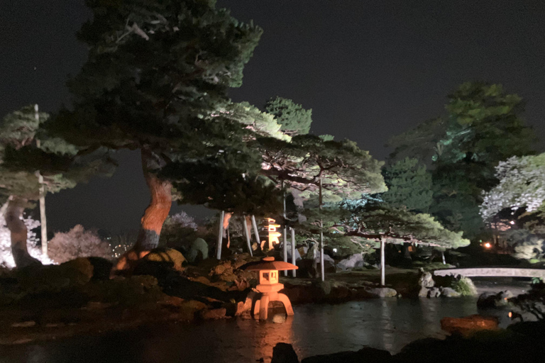Kanazawa: Guided Walking Tour 4 best spots