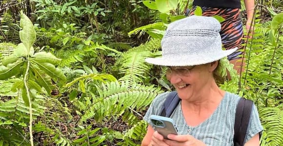 Zanzibar: Red Monkeys Forest Tour, Butterfly & Reptile Park.