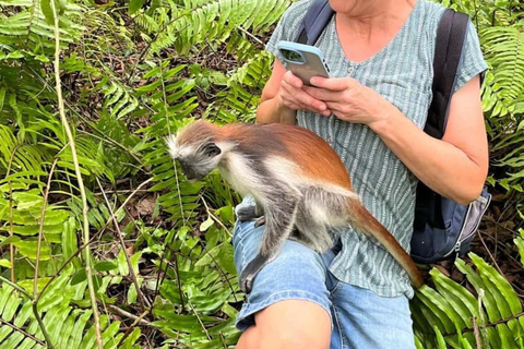Zanzibar: Privat Jozani-skogen, Kuza-grottan och Rock RestaurantZanzibar: Privat Jozani-skogen, Kuza-grottan och Rock-restaurangen