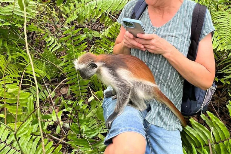 Zanzibar: Privat Jozani-skogen, Kuza-grottan och Rock RestaurantZanzibar: Privat Jozani-skogen, Kuza-grottan och Rock-restaurangen