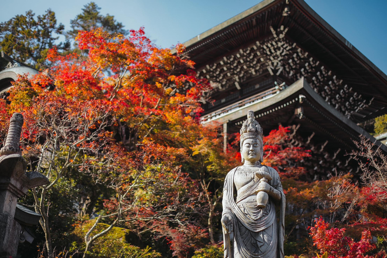 Hiroshima & Miyajima Full day Tour with Pro Photographer