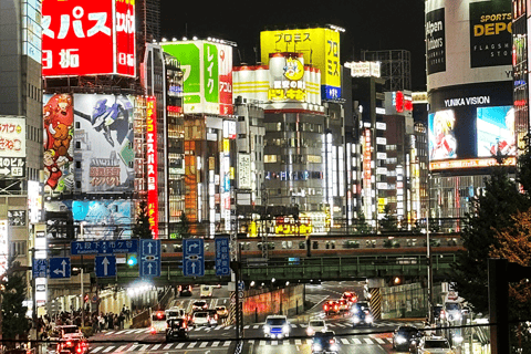 Tokio: Nocna wycieczka piesza Shinjuku z lokalnym przewodnikiem + wideo