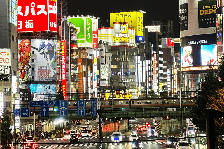 Tokio: Shinjuku Nachtwandeltour met lokale gids + Video