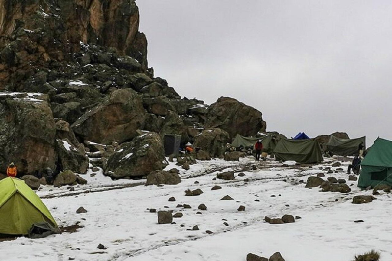 Arusha: 7-Day Kilimanjaro Machame Route Guided Trek