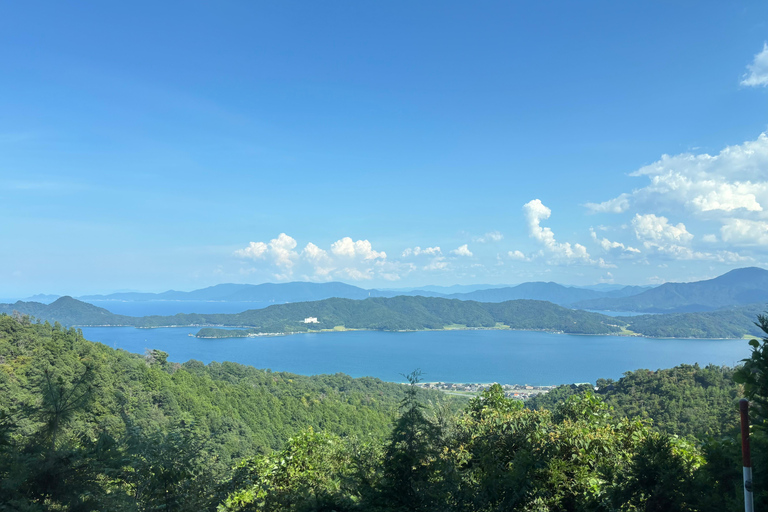 Osaka/Kyoto: Amanohashidate, Ine Bay & Nariaiji Temple Tour From Osaka Meeting Point