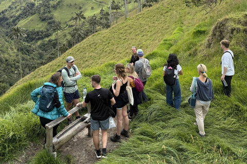 La Carbonera Adventure: Hiking & Horseback Riding in the Andean Palm Forest Salento: Tour to La Carbonera and the wax palm forest