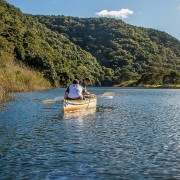 Cape Town/Stellenbosch: 3-Day Garden Route and Safari Trip