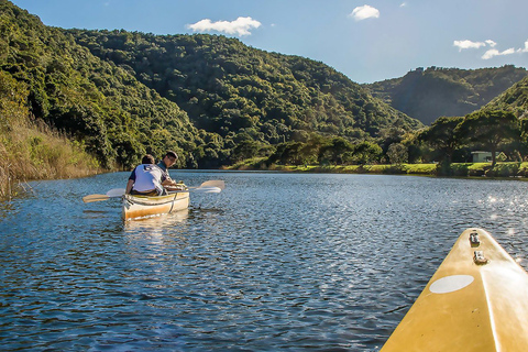 Från Kapstaden: 3-dagars Garden Route Highlights och 4x4 SafariDelad gruppresa med delad sovsal Backpacker Hostel Stay