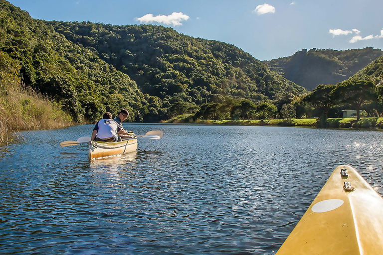 Vanuit Kaapstad/Stellenbosch: 3 dagen Garden Route en SafariBackpacker Slaapzaalpakket