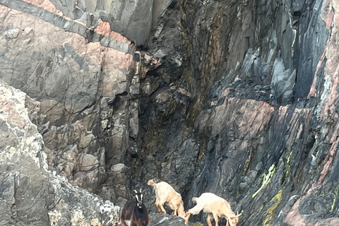 De Cargèse : Le grand tour du Golfe