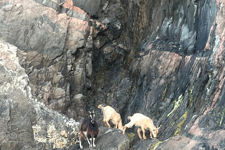 De Cargèse : Le grand tour du Golfe