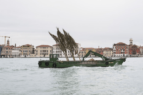Venice: Convent Garden of Redentore Entry Ticket General Admission Entry Ticket