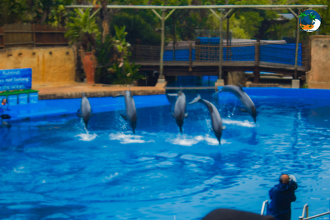 Ontdek Durban: een driedaagse ontsnapping vanuit EswatiniOntdek Durban: een driedaagse trip vanuit Eswatini