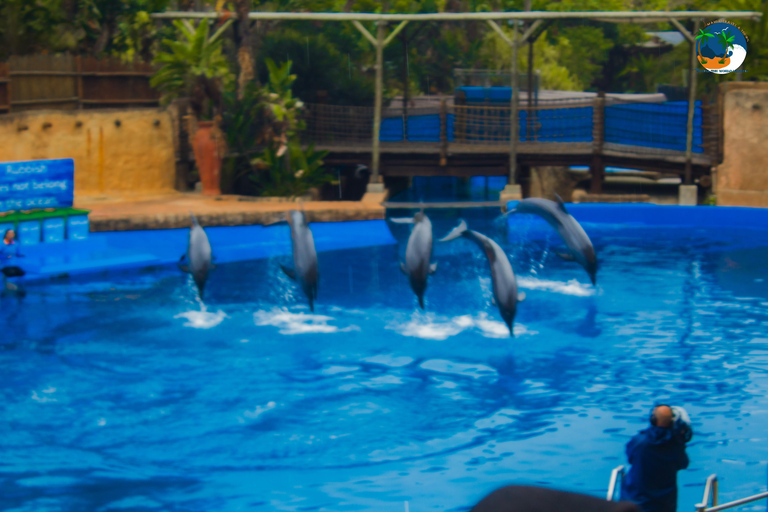 Ontdek Durban: een driedaagse ontsnapping vanuit EswatiniOntdek Durban: een driedaagse trip vanuit Eswatini