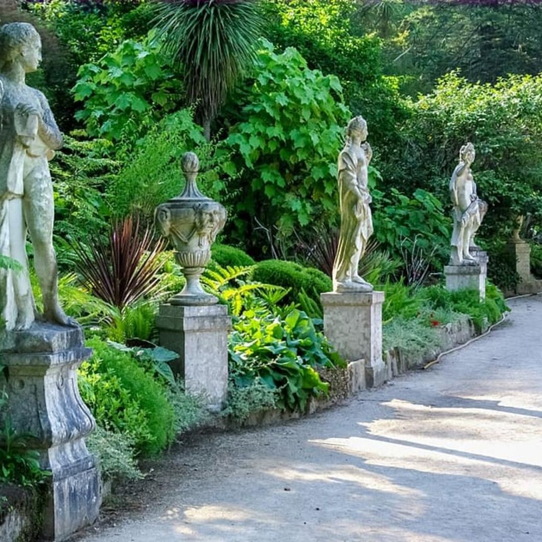 Galerie média