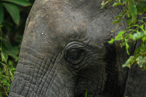 Depuis Zanzibar : Safari de nuit dans le Selous G.R. avec volssafari partagé