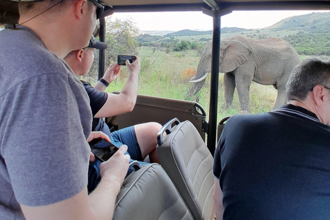 Johannesburg : Safari privé de 2 jours dans le parc national de Pilanesberg