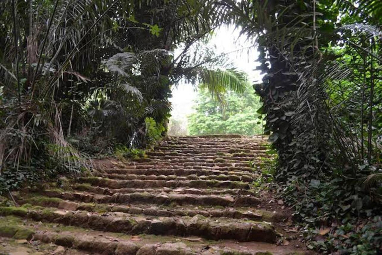 From Kampala: Entebbe Zoo, Reptile Village, & Gardens Tour