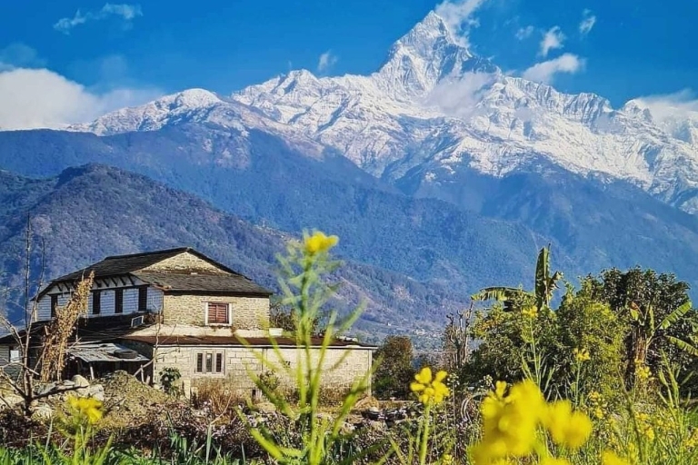 Mardi Himal Trek - 4 Days from Pokhara Mardi Himal Trek via Traditional Village-4 Days from Pokhara