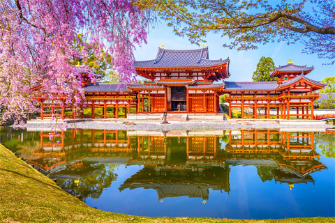 Osaka: Nara and Uji Day Trip with Deer Park and Hot Spring