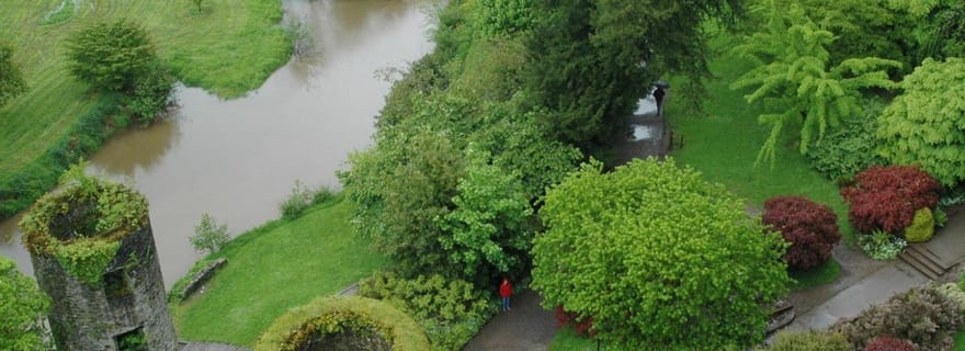 Cobh : visite de Cork, de l'île de Fota et du château de Blarney