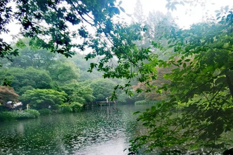 Suzhou: Hangzhou Nine Creeks & Longjing Tea Village Trip