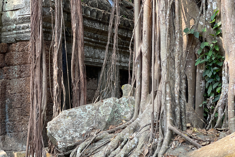 Siem Reap: Angkor Wat Private Ganztagestour