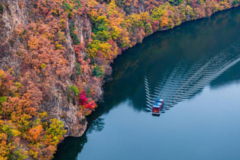 From Tokyo: Nikko World Heritage Sight Full Day Private Tour