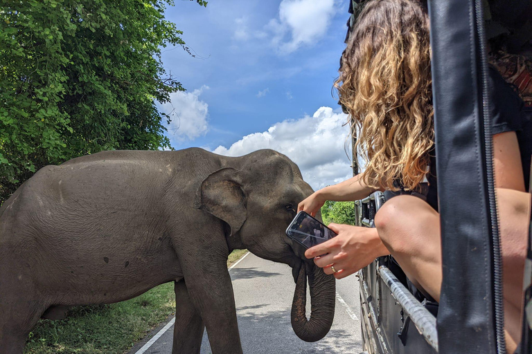 Wycieczka z Galle/Hikkaduwa/Mirissa do Udawalawe Safari Tour