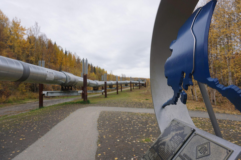 Fairbanks: City Highlights Tour with Museum Entry