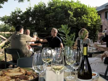 Degustazione di vini sull’Etna: sapori vulcanici, storia e tradizione