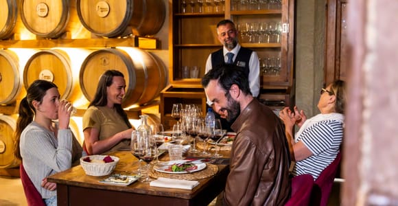 Chianti: Lunch with Wine Tasting at Poggio ai Laghi Winery