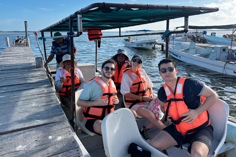 From Valladolid: Flamingo Tour, Rio Lagartos, Las Coloradas, Cenote + Lunch