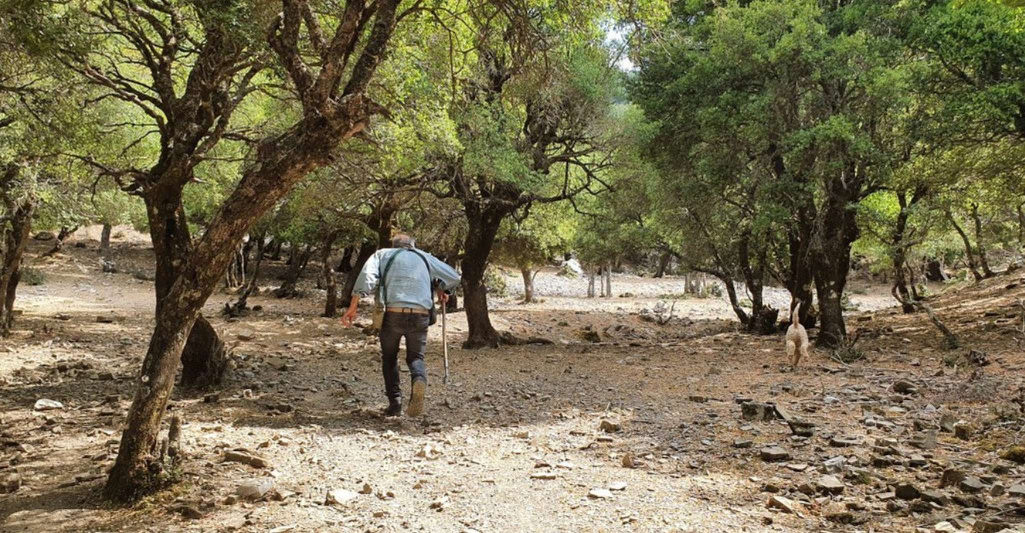 Truffle Hunting, Culinary & Wine Celebration from Heraklion - Housity