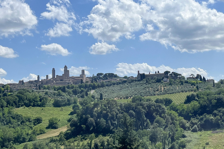 Tour di Siena e San Gimignano in van da Lucca o Pisa