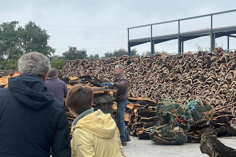 Evora, vignoble et fabrique de bouchons : Transport privé d&#039;une journée