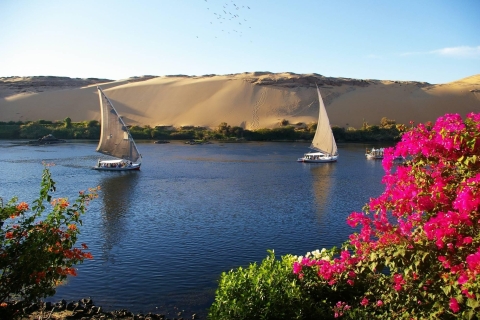 Vanuit Aswan: Privévaart van 2 uur in een Felucca over de Nijl2 uur Felucca tocht op de Nijl vanuit Aswan