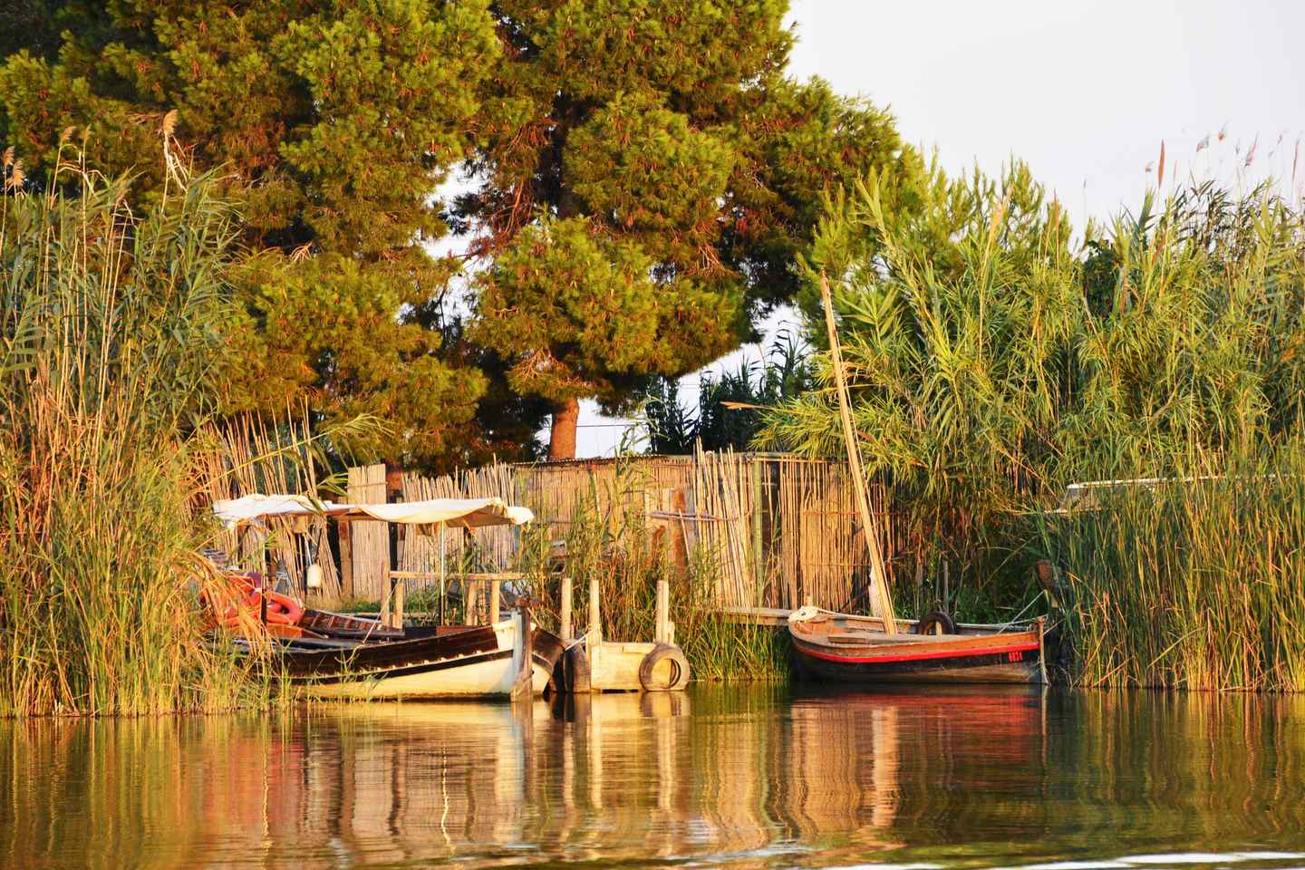 From Valencia: Albufera Natural Park with Sunset Boat Tour
