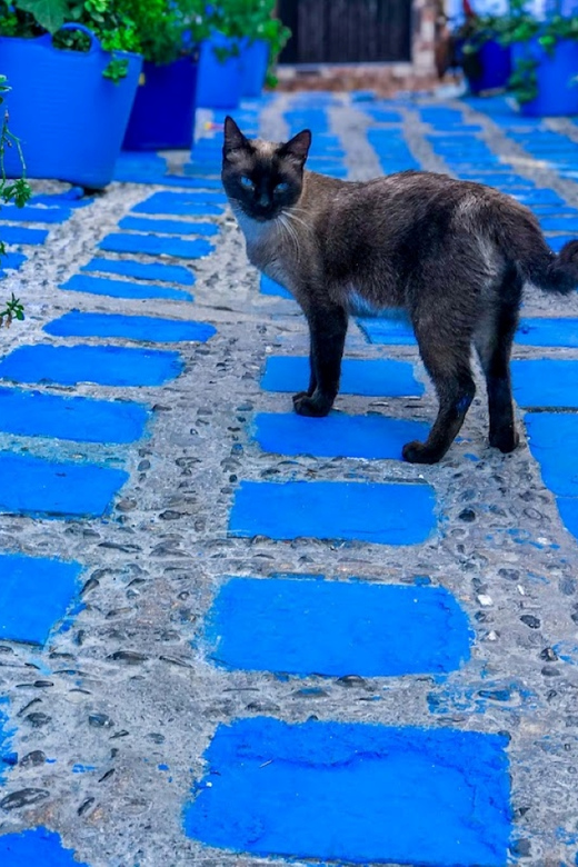 Colagem de mídia