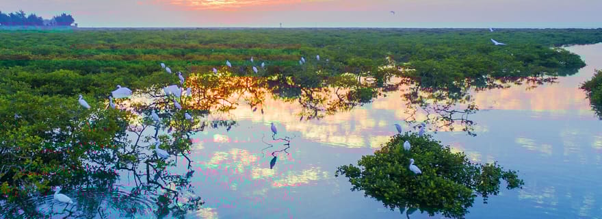 Beihai : visite de la plage d'argent, de la mangrove et de la vieille rue
