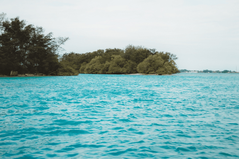 Dżakarta: prywatny rejs jachtem po 4 wyspach z nurkowaniem z rurką8-godzinna prywatna wycieczka jachtem (do 12 osób)