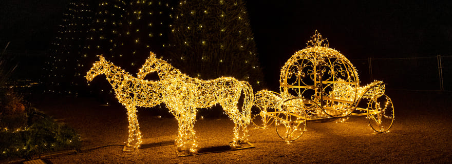 Lumières en Seine : billet liberté