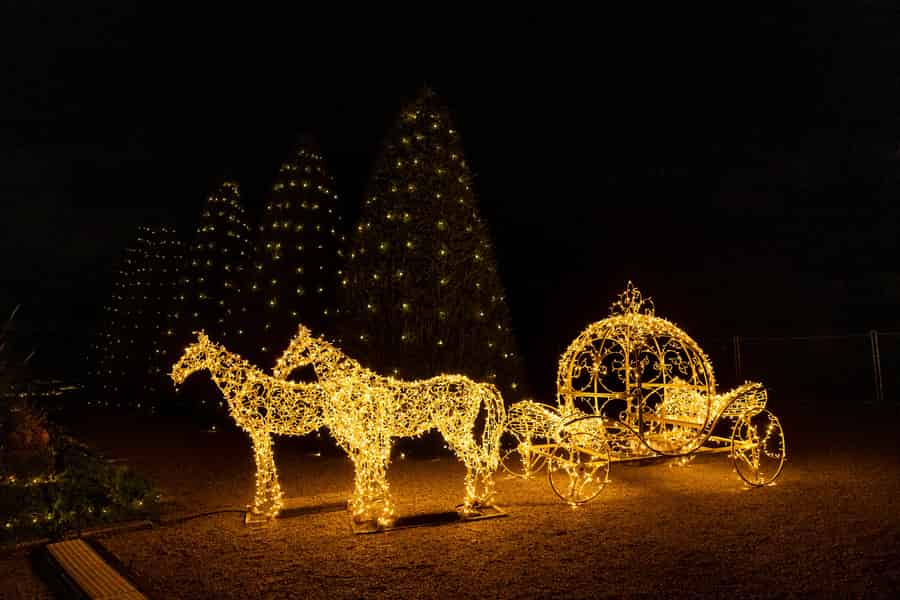 Lichter auf der Seine: Freie Eintrittskarte. Foto: GetYourGuide Lichter auf der Seine: Freie Eintrittskarte. Foto: GetYourGuide