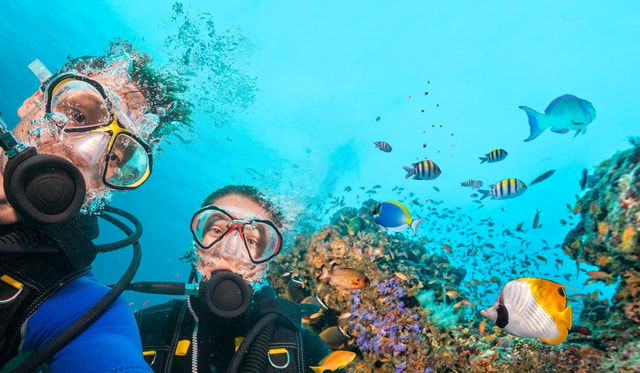 Sharm El Sheikh: Ras Mohamed, White Island, Snorkel & Diving