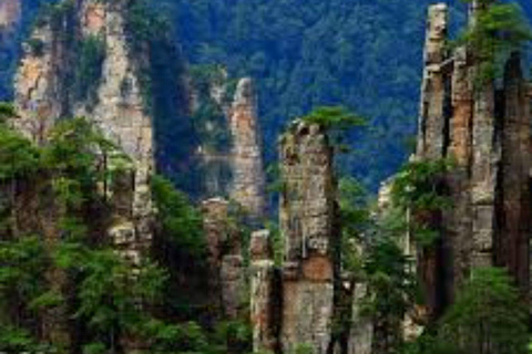 Zhangjiajie National Park: Private Avatar Mountains Tour English-speaking guide