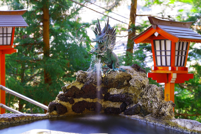 Mt. Fuji & Hakone Tour: Arakurayama, OshinoHakkai, Owakudani Tokyo Station | 7:30 AM Departure with English Guide