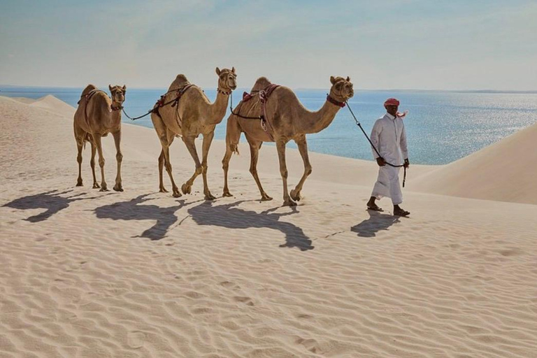 Doha: Desert Safari, City Tour, With Free Dhow Cruise Doha: Desert Safari, City Tour, and Dhow Cruise Combo