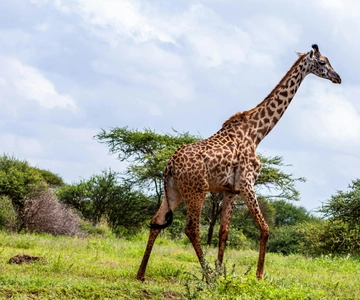 Kenya: 5-Day Road Trip to Lake Victoria from Nairobi